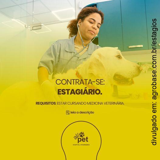 Estágio hospital veterinário – Apucarana/PR