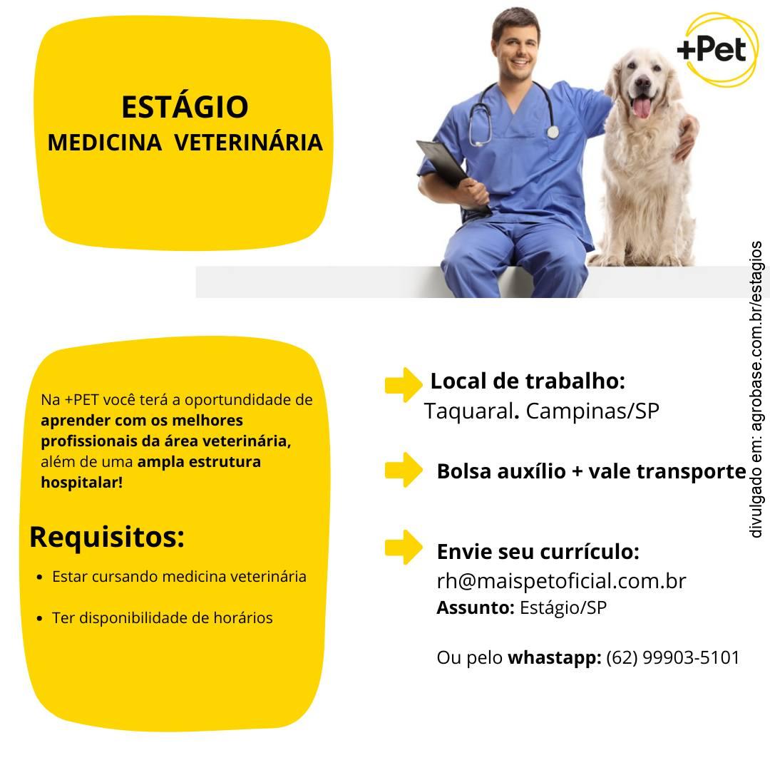 Estágio med. veterinária – Campinas/SP