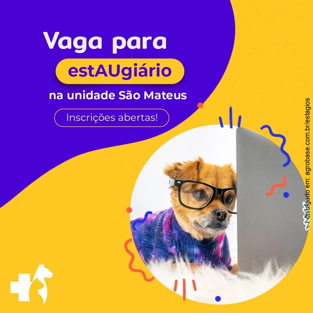 Estaugiário de medicina veterinária – São Paulo/SP