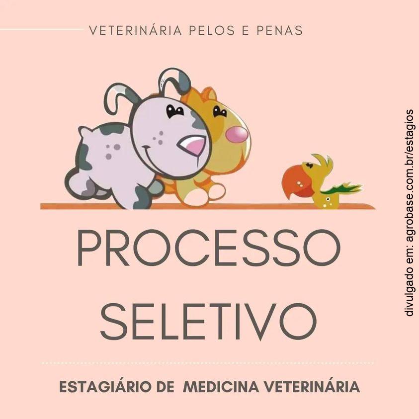 Estagiário de medicina veterinária – Nova Iguaçu/RJ