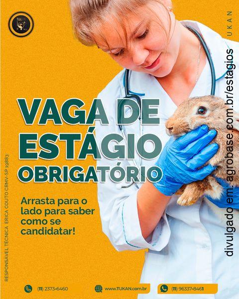 Vaga de estágio obrigatório em clínica veterinária – São Paulo/SP