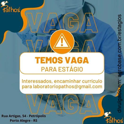 Estágio laboratório patologia veterinária – Porto Alegre/RS