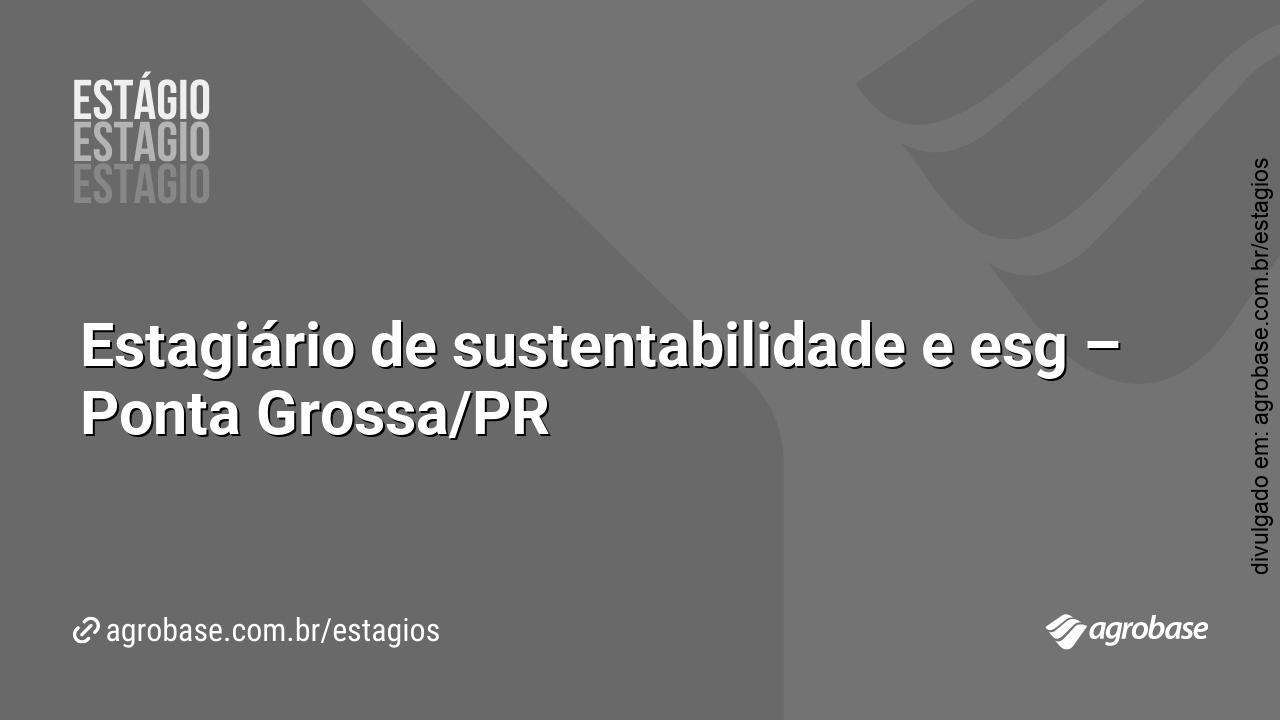 Estagiário de sustentabilidade e esg – Ponta Grossa/PR