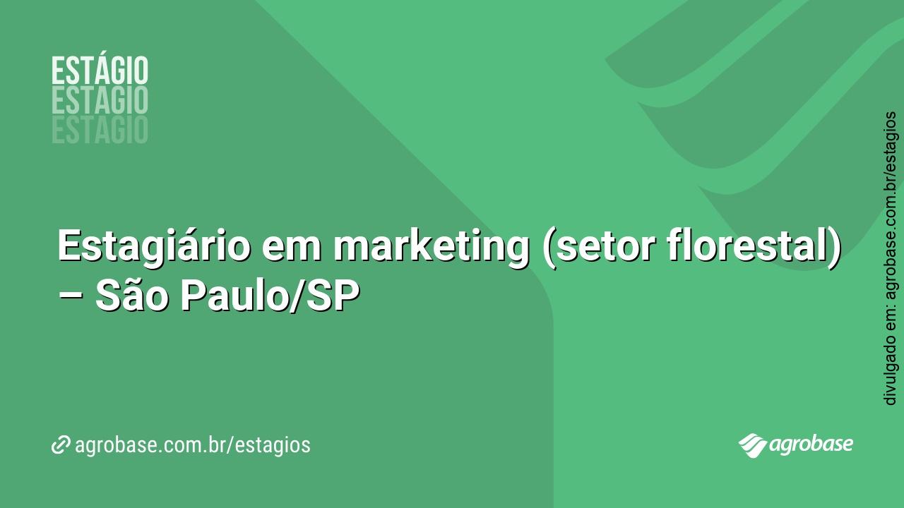 Estagiário em marketing (setor florestal) – São Paulo/SP
