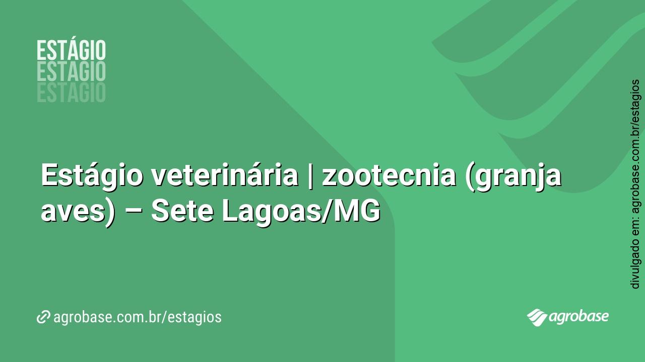 Estágio veterinária | zootecnia (granja aves) – Sete Lagoas/MG