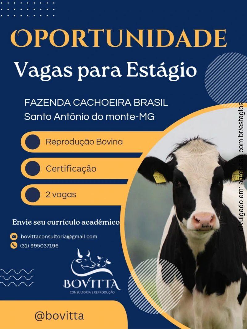 02 vagas para estágio em reprodução bovina – Santo Antônio do Monte/MG