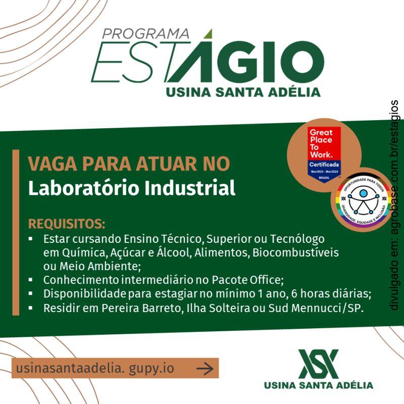 Estágio em laboratório industrial – Pereira Barreto/SP