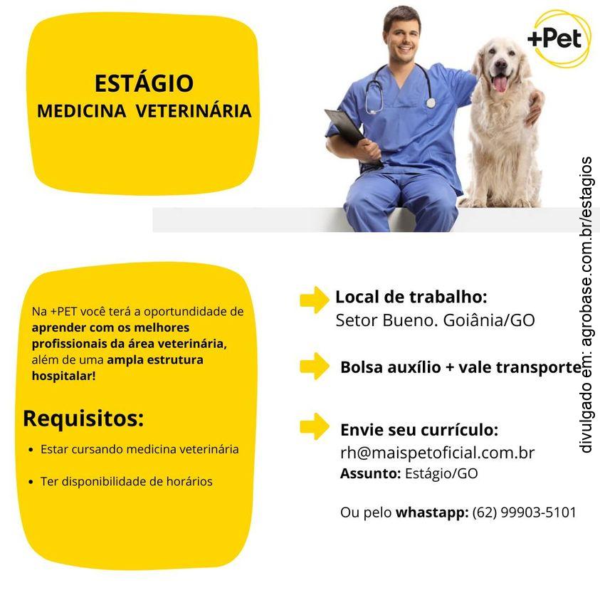 Estágio med. veterinária – Goiânia/GO