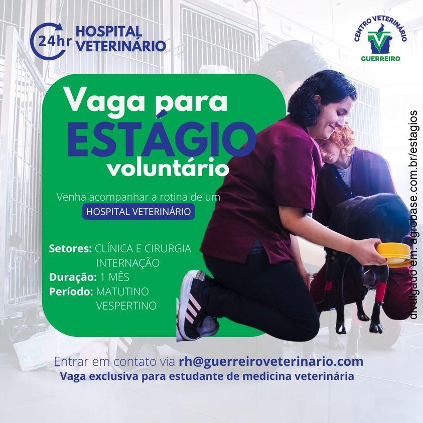 Estágio voluntário em hospital veterinário – São Paulo/SP