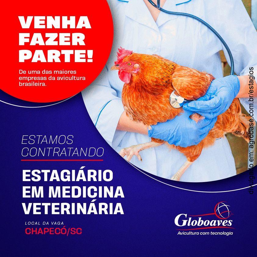 Estagiário médico veterinário – Chapecó/SC