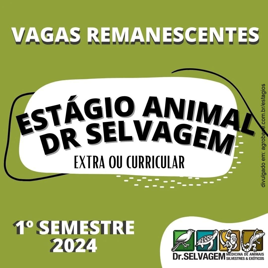 Estágio animais selvagens – Joinville/SC
