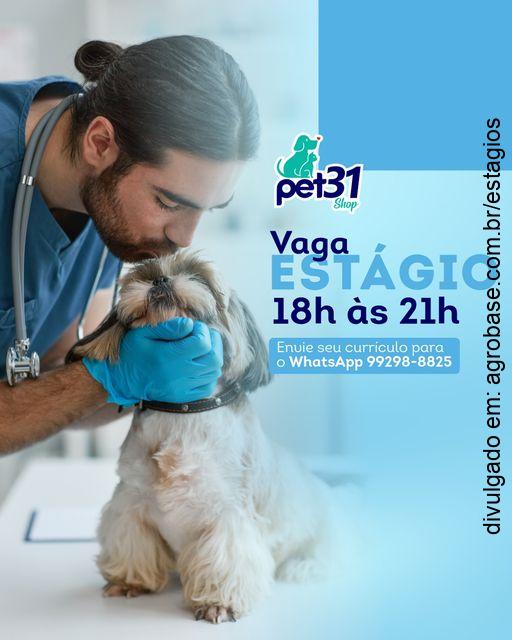 Estágio medicina veterinária – Manaus/AM
