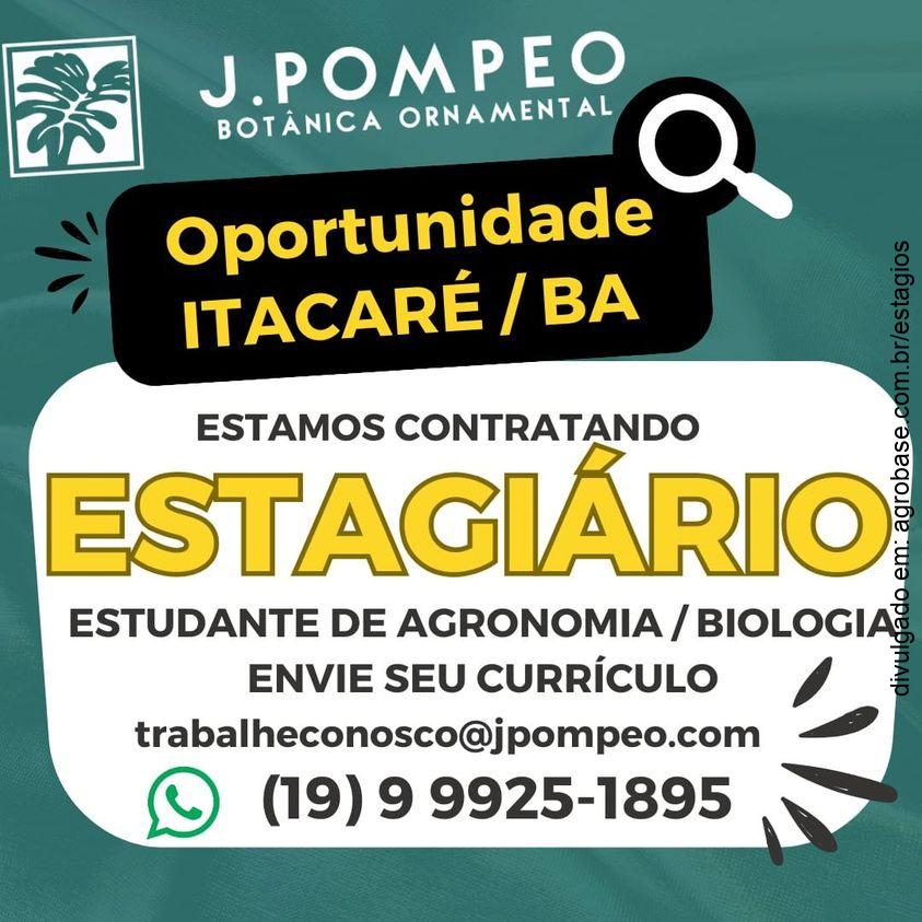 02 vagas estágio em agronomia | biologia – Itacaré/BA