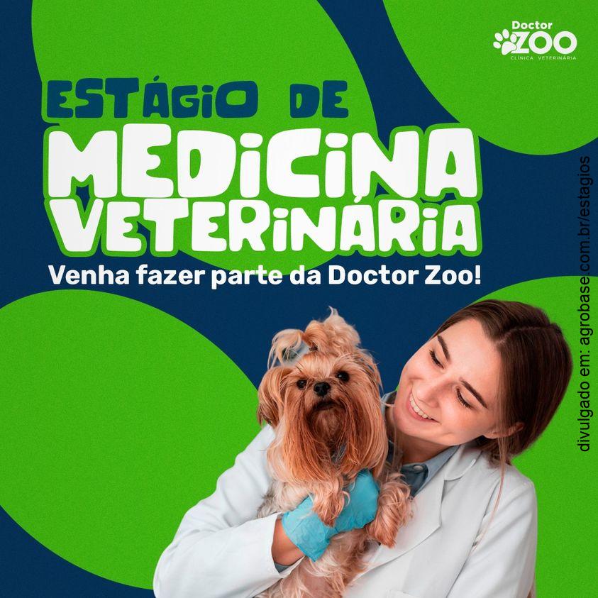 Estágio de medicina veterinária – Arapongas/PR