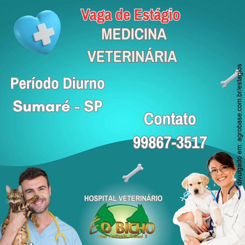 Estágio em medicina veterinária – Sumaré/SP