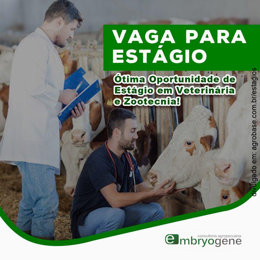 Estágio em veterinária e zootecnia – Campo Grande/MS
