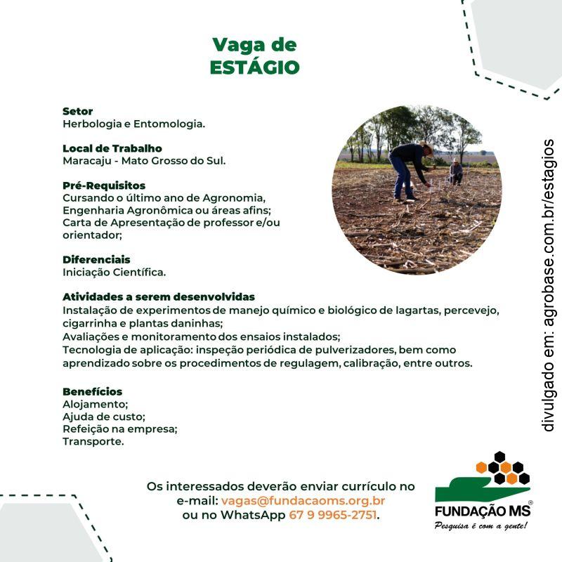 Estágio no setor de herbologia e entomologia – Maracaju/MS