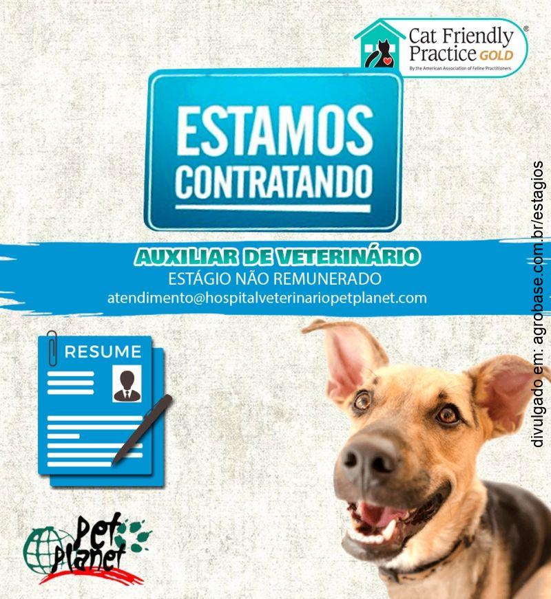 Auxiliar de veterinário (estágio não remunerado) – Piracicaba/SP