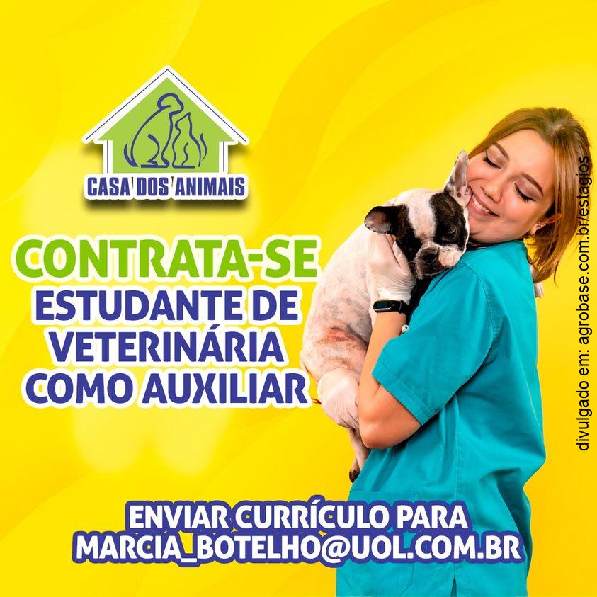 Estudante de veterinária como auxiliar – São Vicente/SP