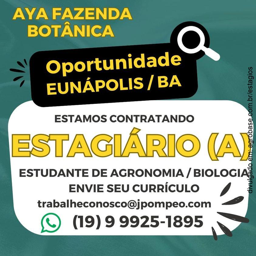 Estágio para estudantes de agronomia ou biologia – Eunápolis/BA