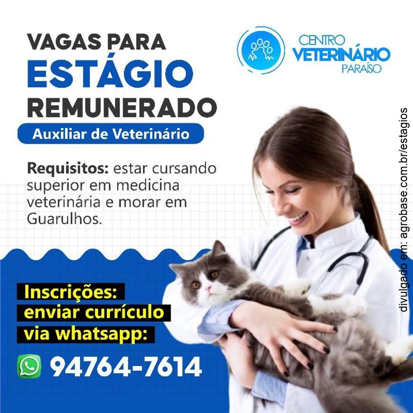 Estágio remunerado auxiliar de veterinário – Guarulhos/SP