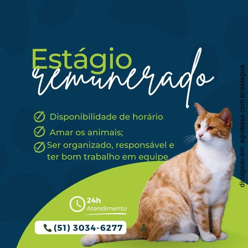 Estágio remunerado em medicina veterinária – Sapucaia do Sul/RS