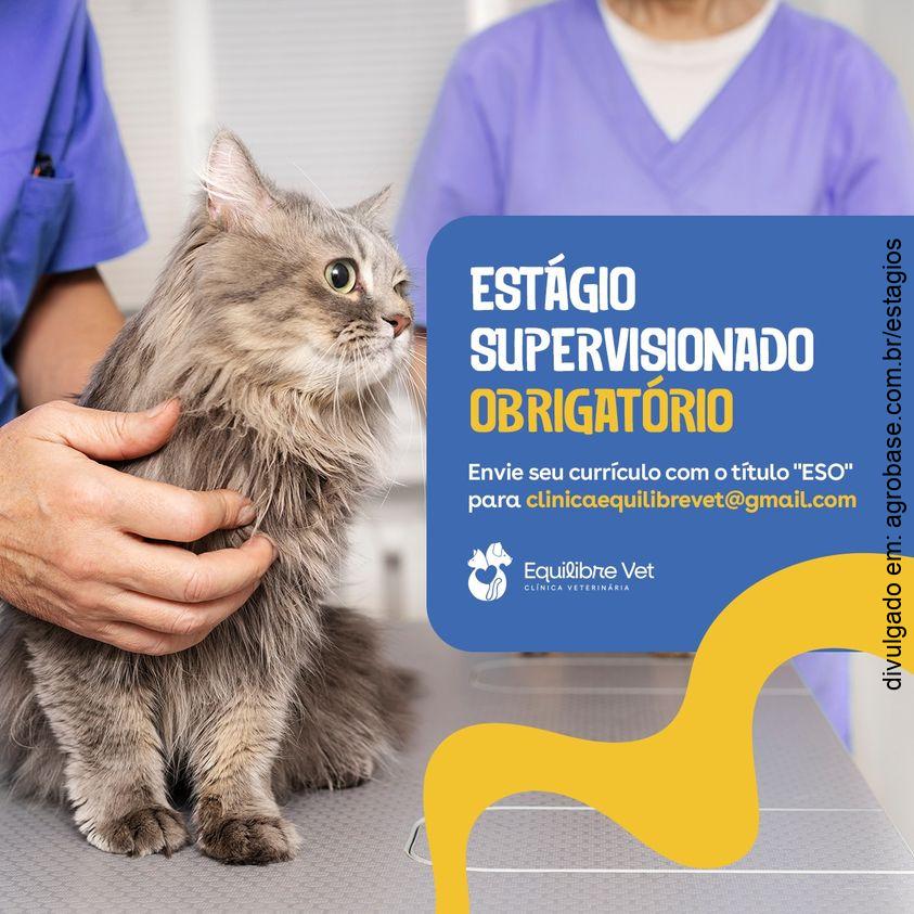 Estágio supervisionado obrigatório veterinária – João Pessoa/PB