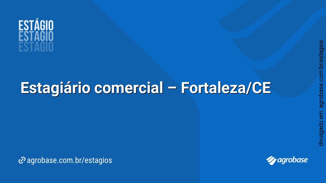 Estagiário comercial – Fortaleza/CE