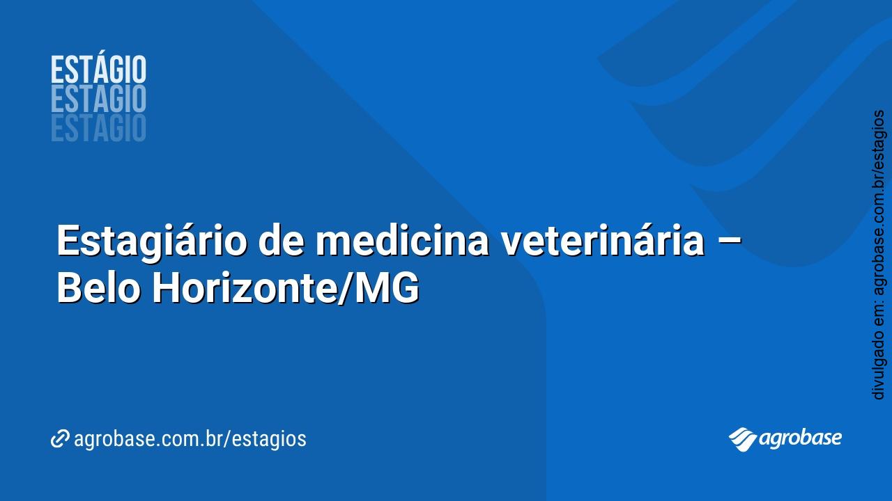 Estagiário de medicina veterinária – Belo Horizonte/MG