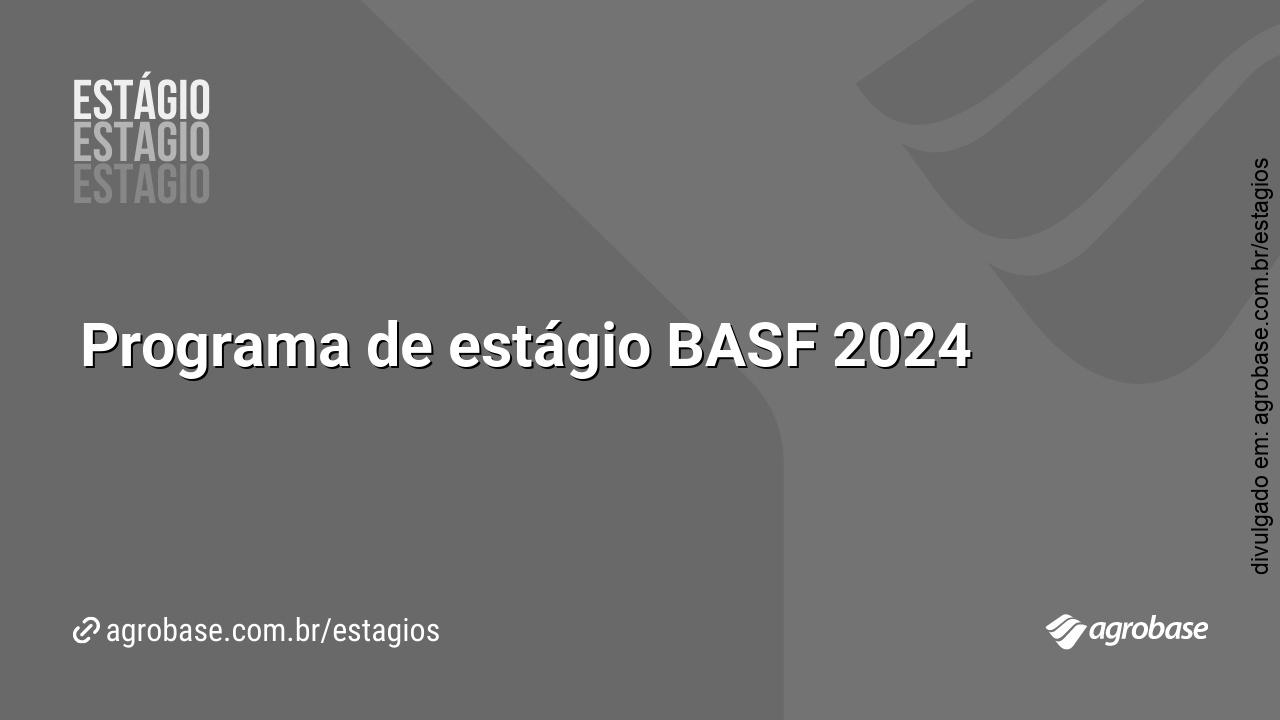 Programa de estágio BASF 2024