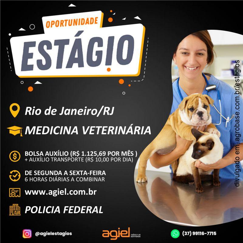Estágio em medicina veterinária – Rio de Janeiro/RJ
