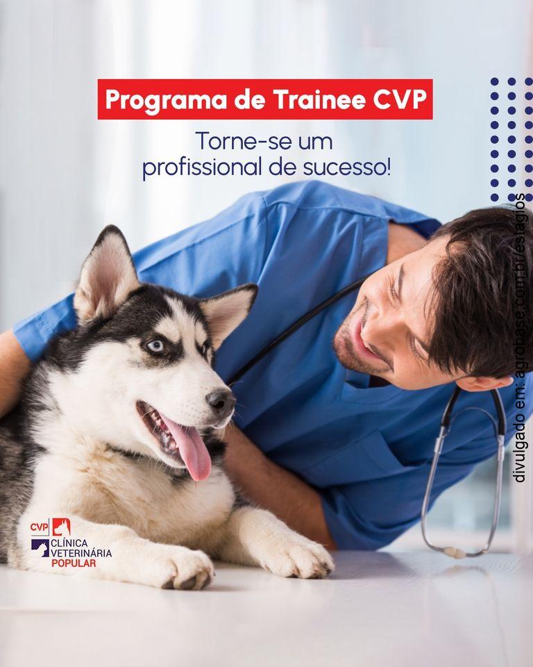Programa de trainee CVP – Rio de Janeiro/RJ