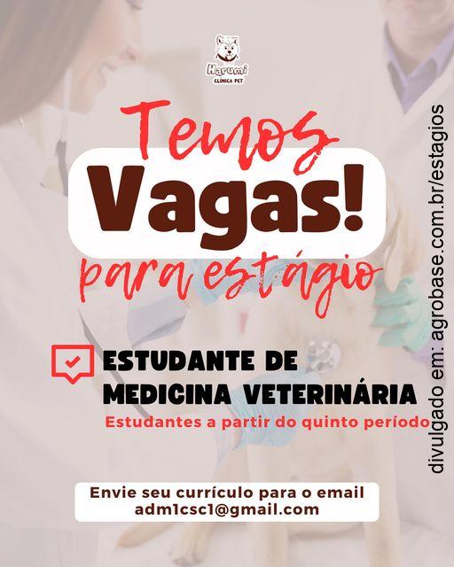 Estagiário(a) de medicina veterinária – João Pessoa/PB