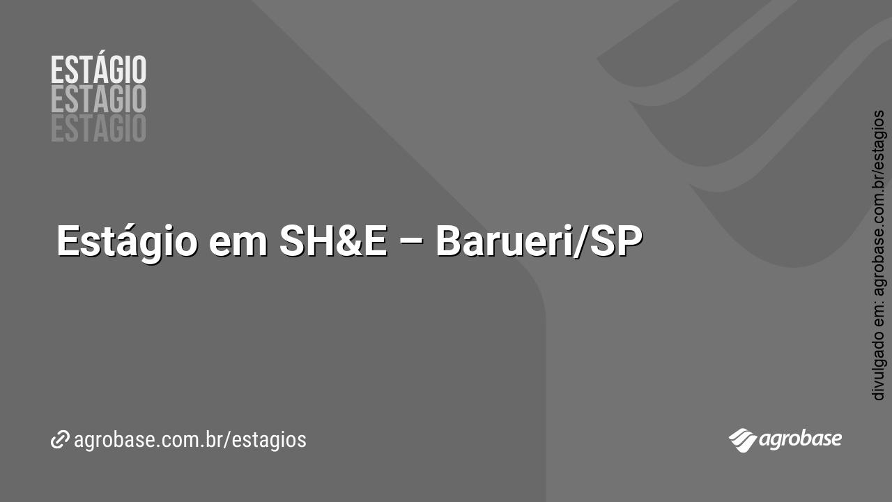 Estágio em SH&E – Barueri/SP