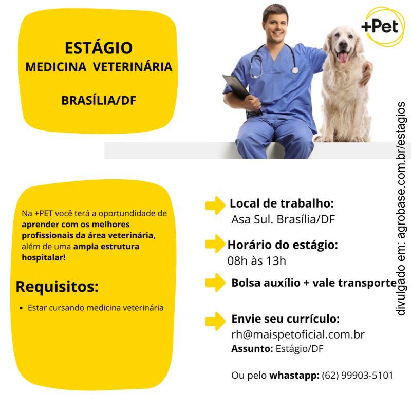 Estágio medicina veterinária – Brasília/DF