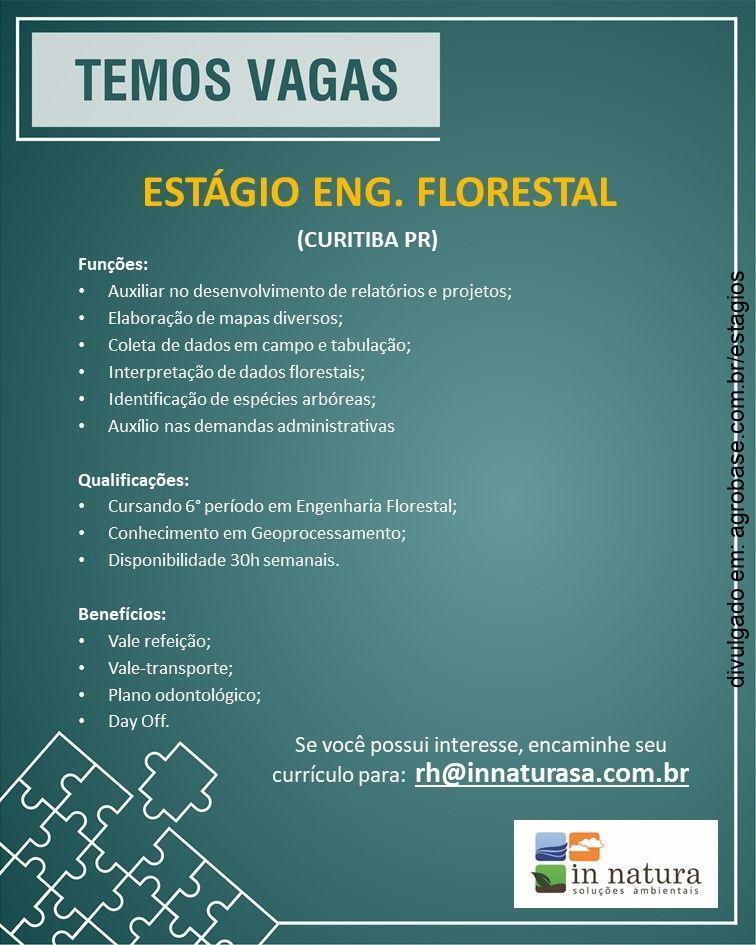 Estágio engenharia florestal – Curitiba/PR