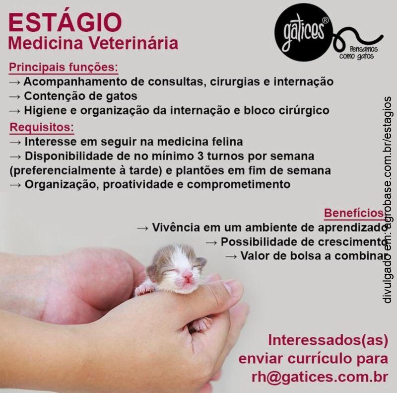 Estagiário de veterinária – Caxias do Sul/RS