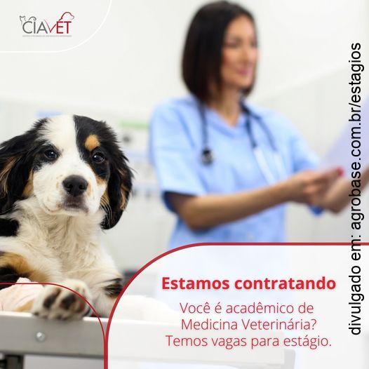 Estágio extracurricular veterinária – Chapecó/SC