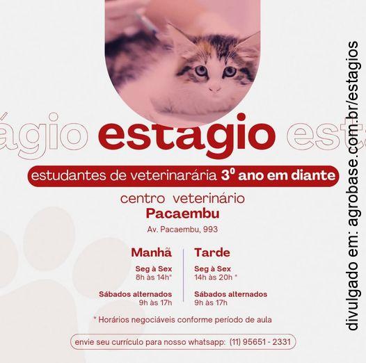 Estágio em veterinária – São Paulo/SP