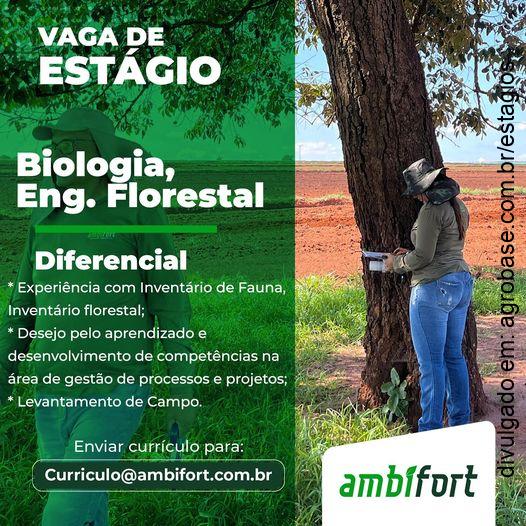 Estágio em consultoria ambiental – Rio Verde/GO