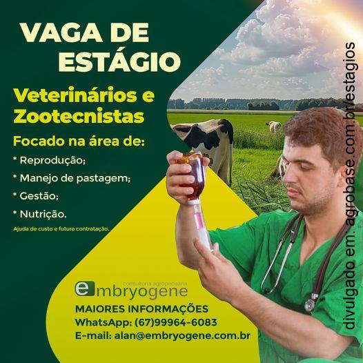 Vaga de estágio para veterinários e zootecnistas – Campo grande/MS