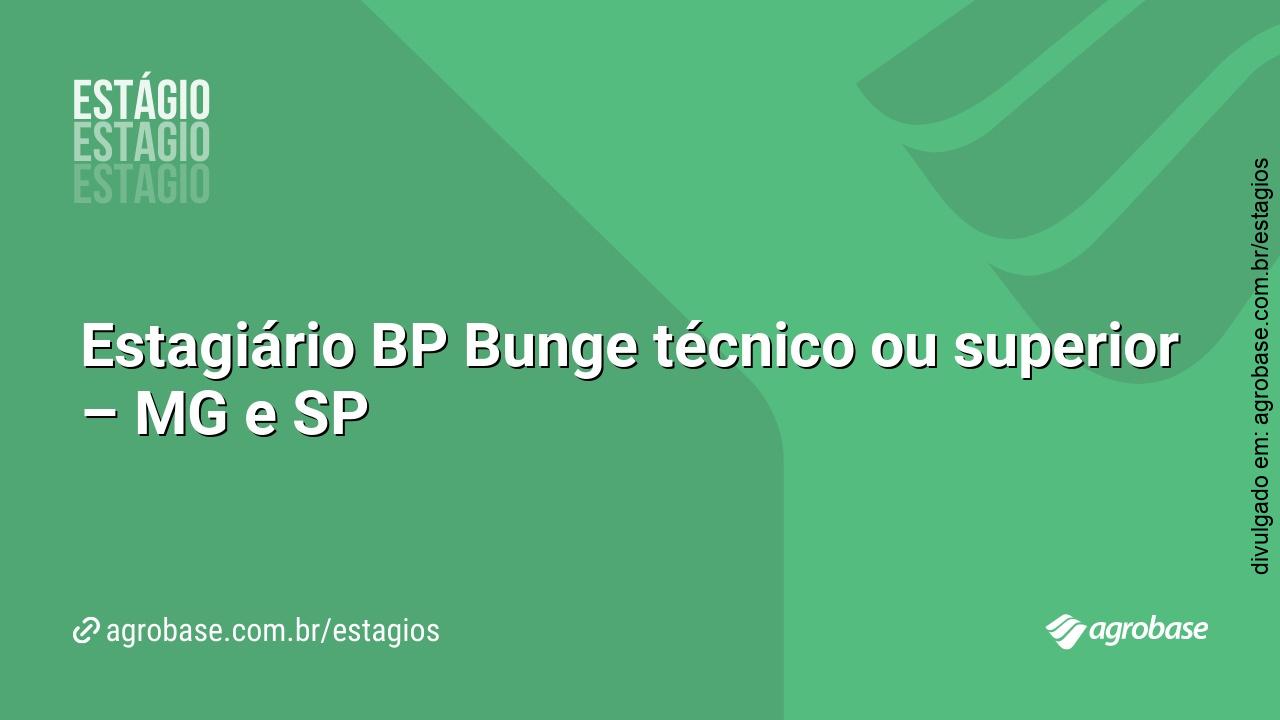 Estagiário BP Bunge técnico ou superior – MG e SP