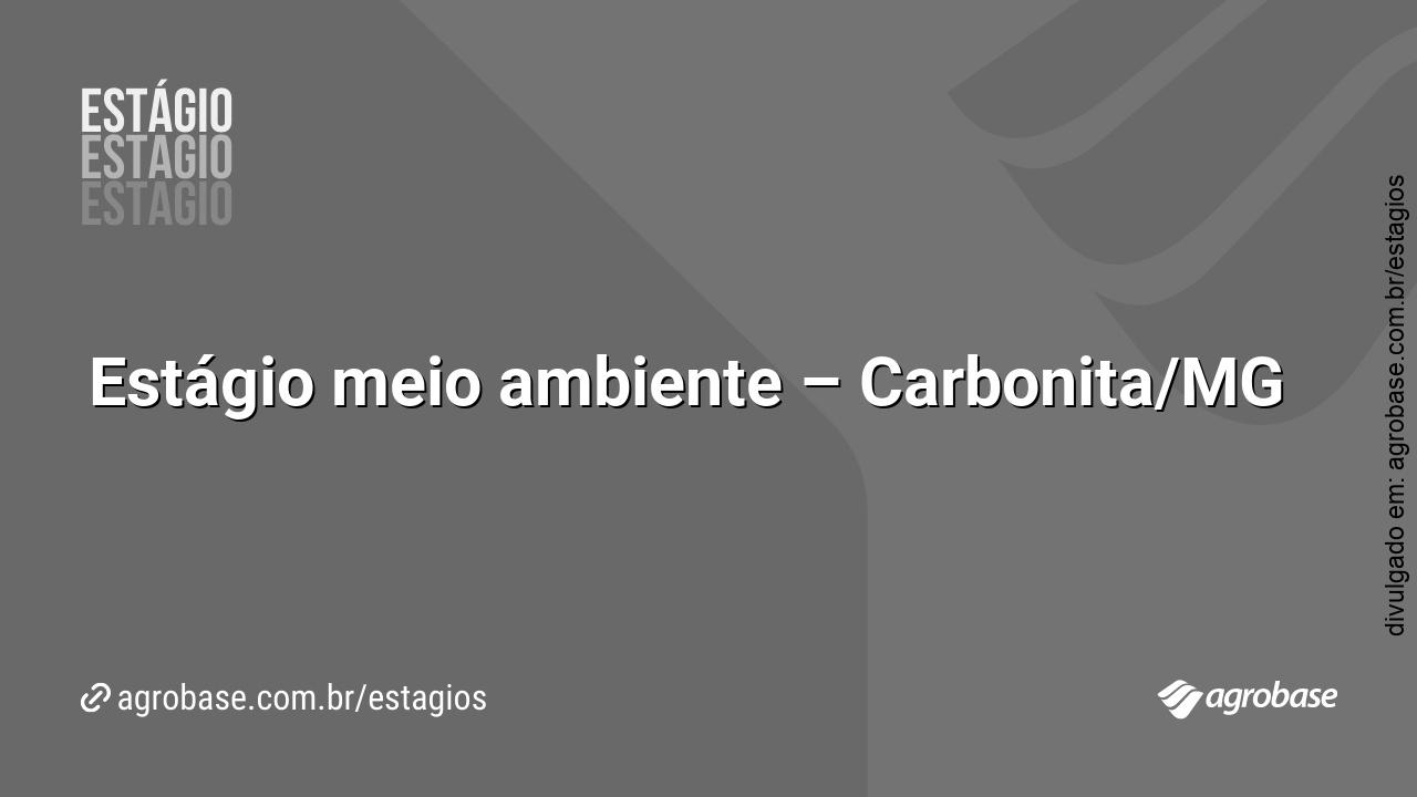 Estágio meio ambiente – Carbonita/MG