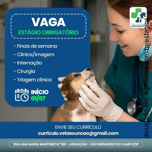 Estágio obrigatório med. veterinária – São Bernardo do Campo/SP