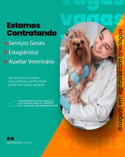 Estágio em clínica veterinária – Fortaleza/CE