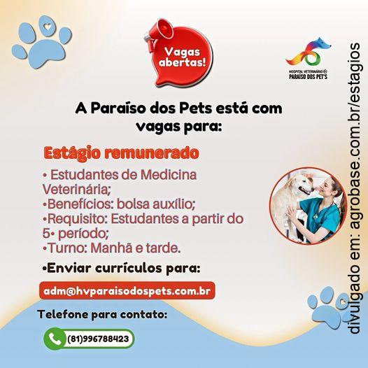 Estágio remunerado para med. veterinária – Recife/PE