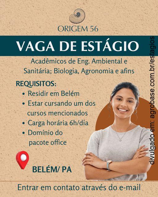 Estágio consultoria ambiental – Belém/PA