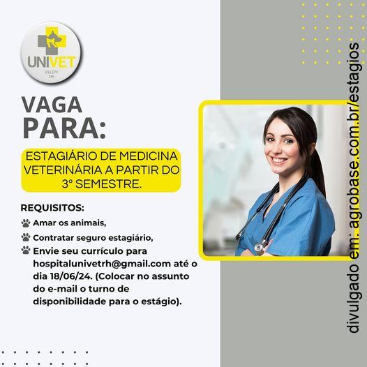 Estagiário de medicina veterinária – Belém/PA