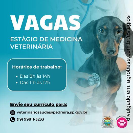 Estágio remunerado de medicina veterinária – Pedreira/SP