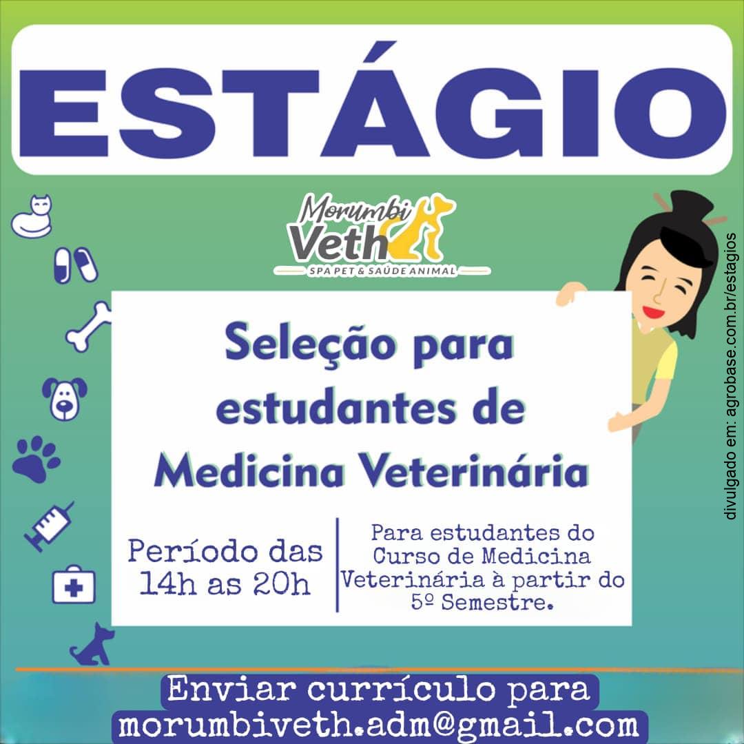 Vaga estágio med. veterinária (14 às 20h) – São Paulo/SP
